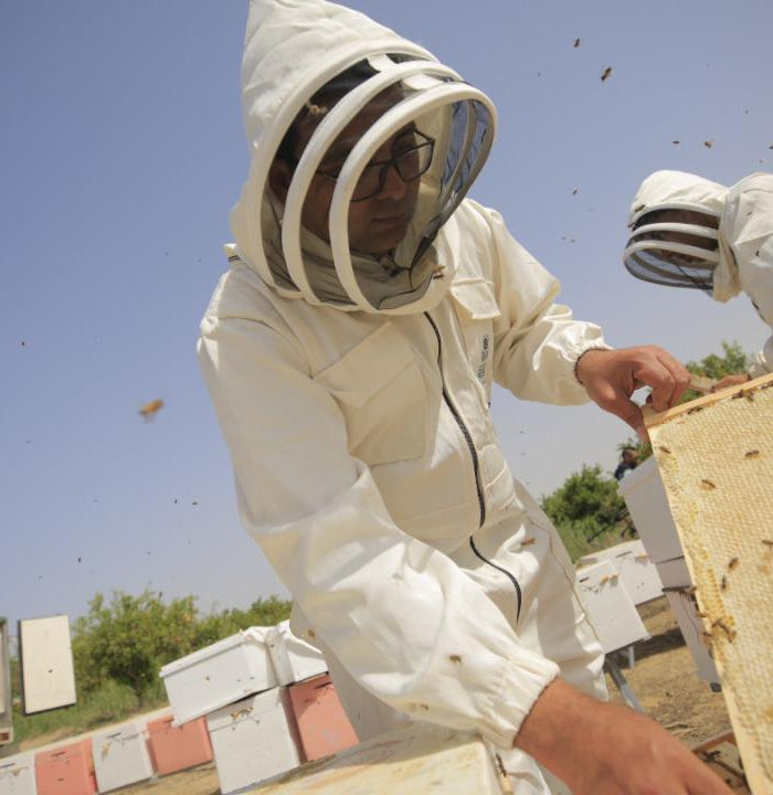 <h2>Eco-Friendly Innovation</h2>