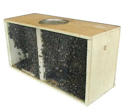 3-Pound Package Bees