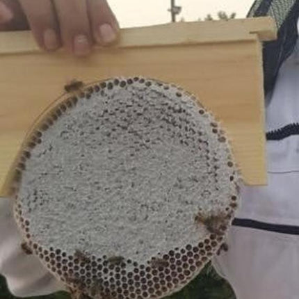 Circular Comb Honey