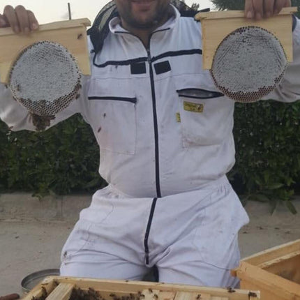 Circular Comb Honey